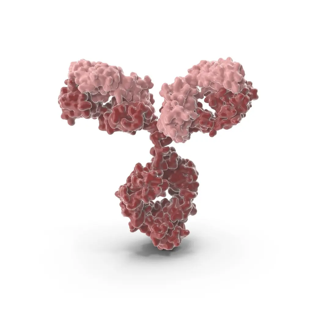 Custom Anti-Peptide antibodies ( up to 20-aa, conjugation, 1 goat, ELISA, aff pure); Add $895 for additional goat - 1 set