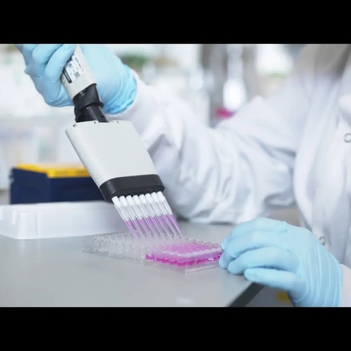 [AE60142BO] Bovine Geranylgeranyl transferase type 1 subunit beta (PGGT1B) ELISA Kit
